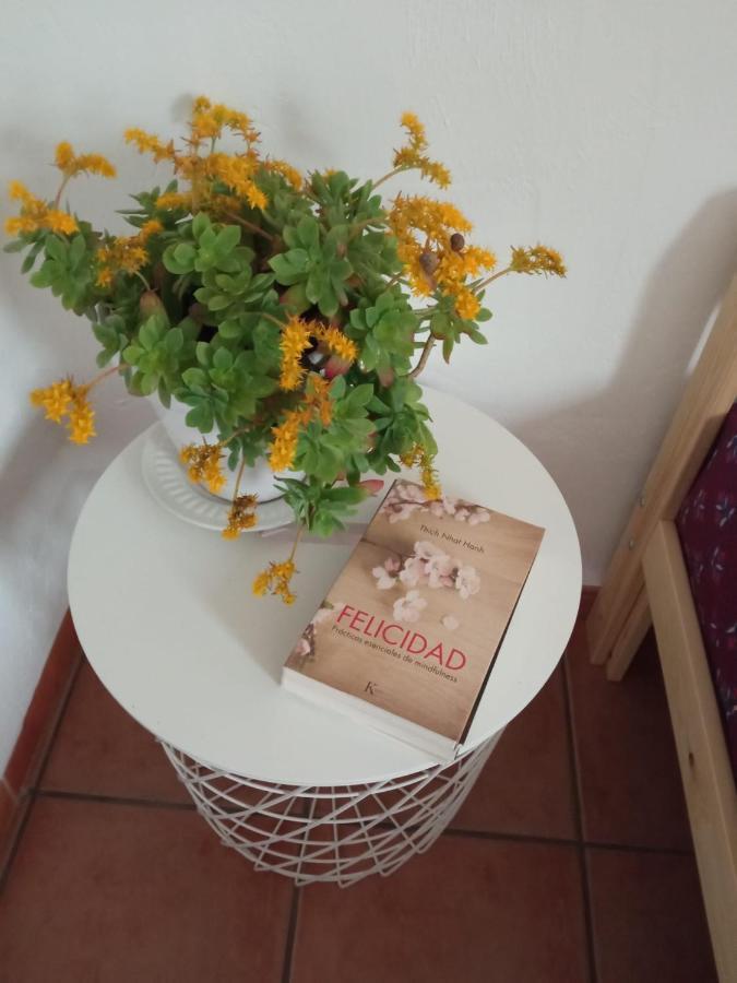 Holiday Home Paquita Sb リウマル エクステリア 写真