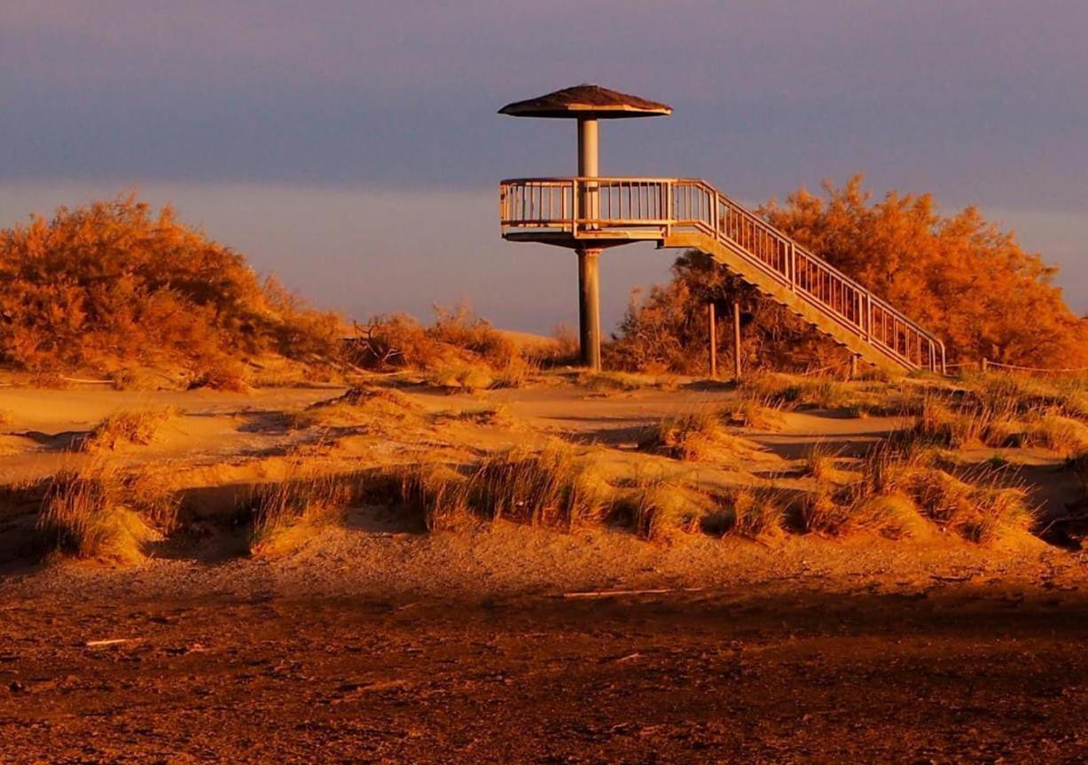 Holiday Home Paquita Sb リウマル エクステリア 写真